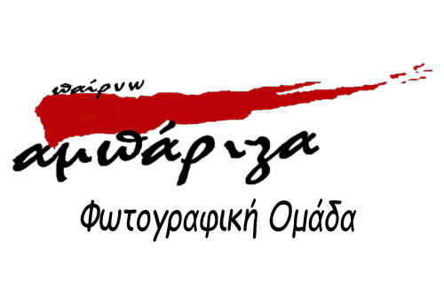 Logo Phototeam Ampariza